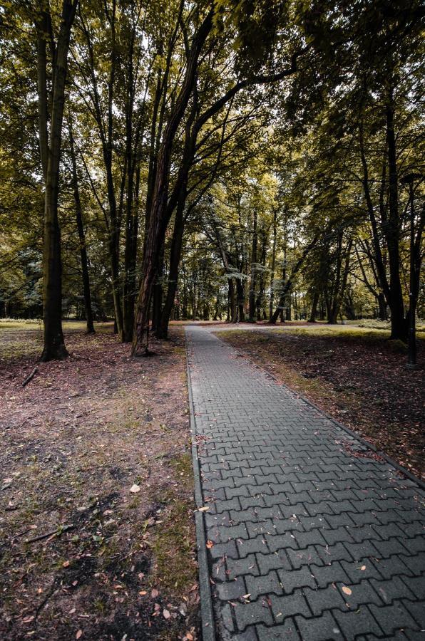 Apartament Deluxe Arcon Siemianowice Śląskie Exterior photo